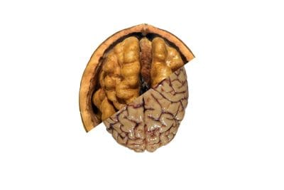 خواص گردو برای مغز